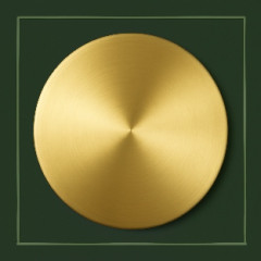 Мишень круглая золотая 50х1 мм Зл99.99 ТУ